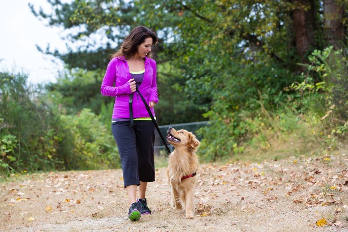 歩きながらアイコンタクトを取る女性と犬