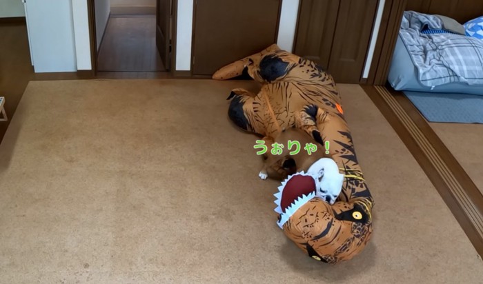 攻撃するブルドッグ