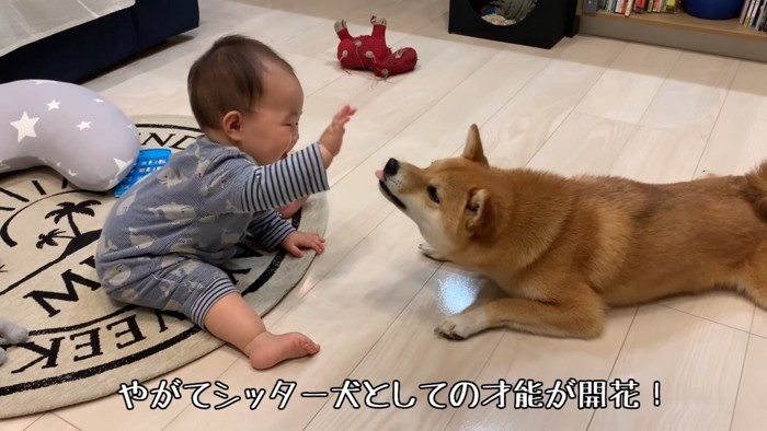 ベビーシッターの才能を開花！