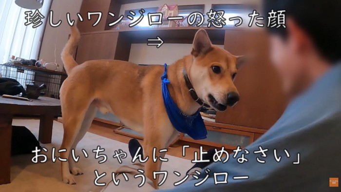 怒った顔で教育的指導