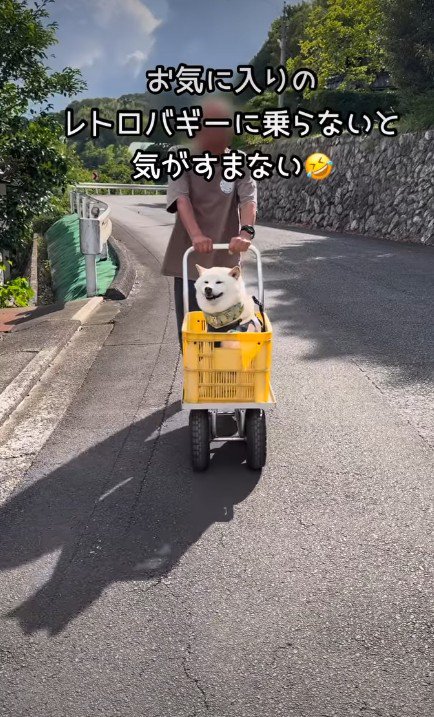 念願のバギーだった♡