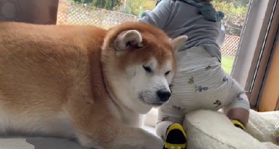 「また来た…」