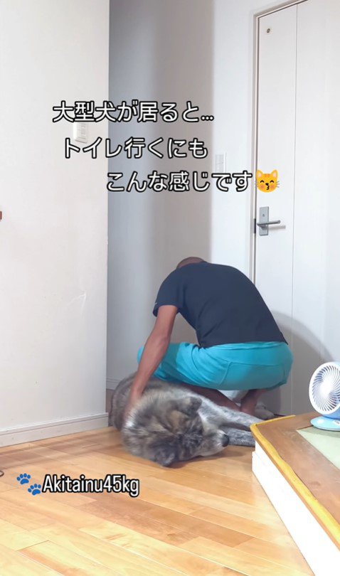 トイレに行きたいパパさんVS虎男くん6