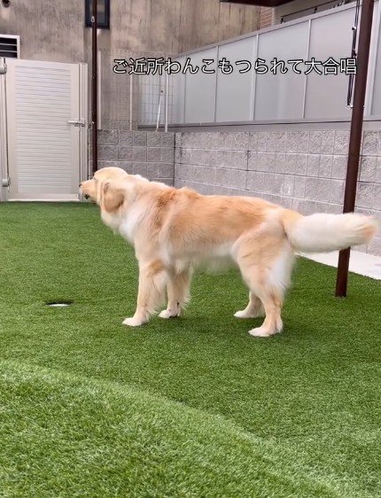 ちょっぴり怖がり!?