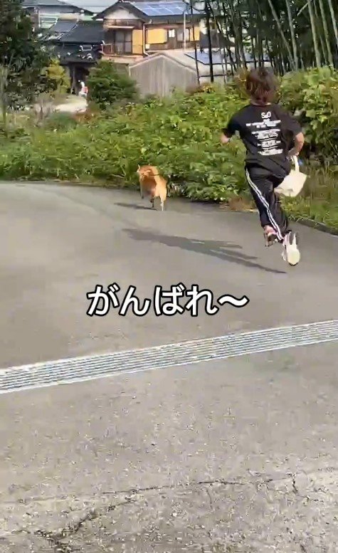 福太郎くんとお姉ちゃんのお散歩4