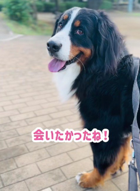 「今日来ない…?」