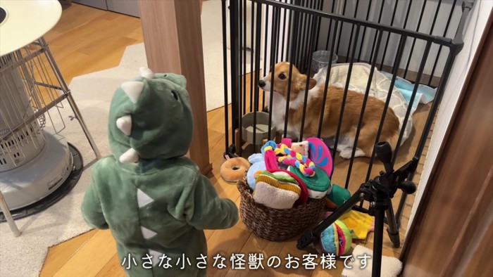 お客さんがやってきた