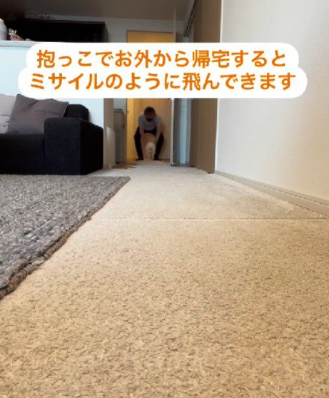 床に下ろしてもらうと…
