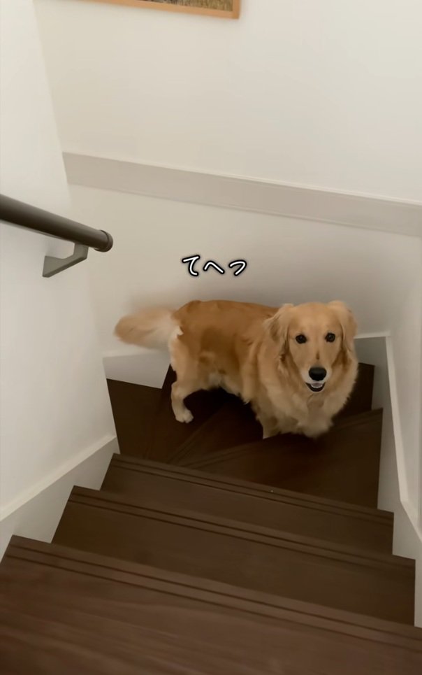 立ち上がるメルちゃん