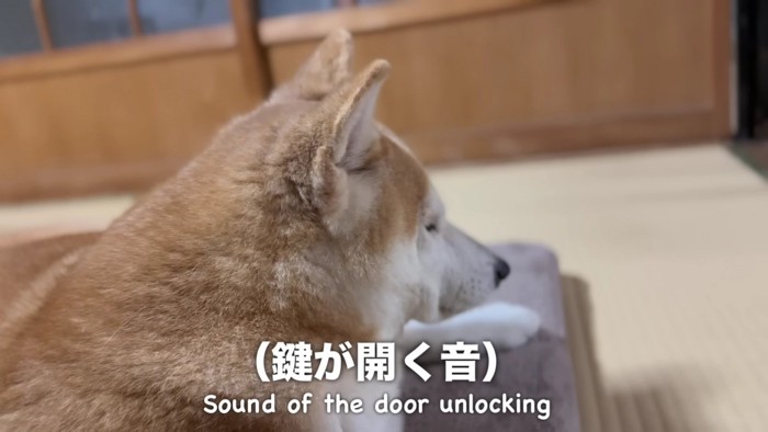 玄関で物音が…