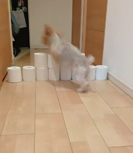 豪快に突撃！！