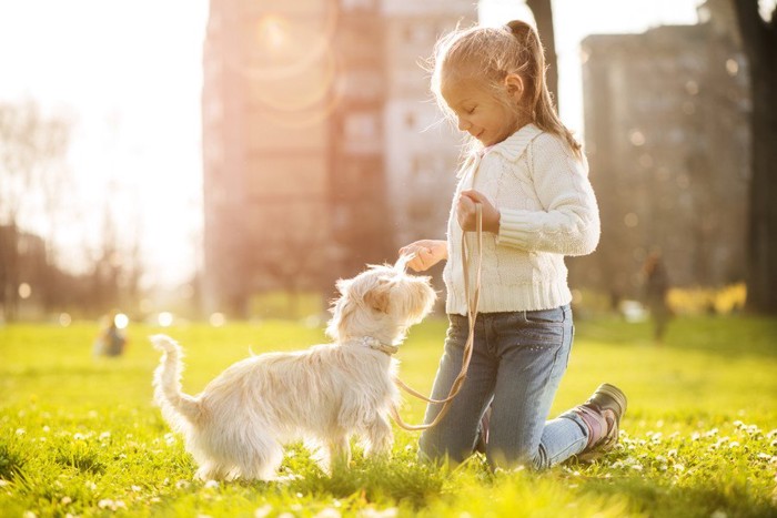 芝生にいる女の子と犬