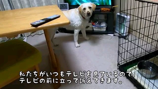 私たち～字幕