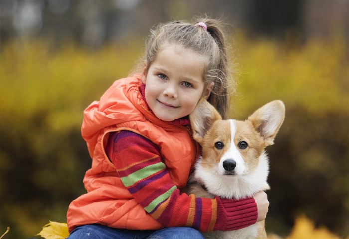 コーギー犬を抱きしめている女の子