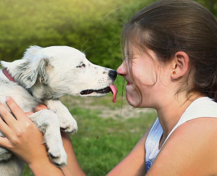 犬と子供