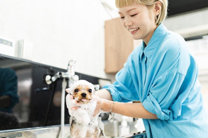 犬をシャンプーする目的