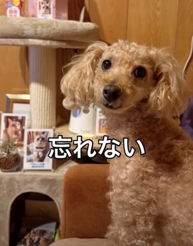レオくんの気持ちが伝わってきます