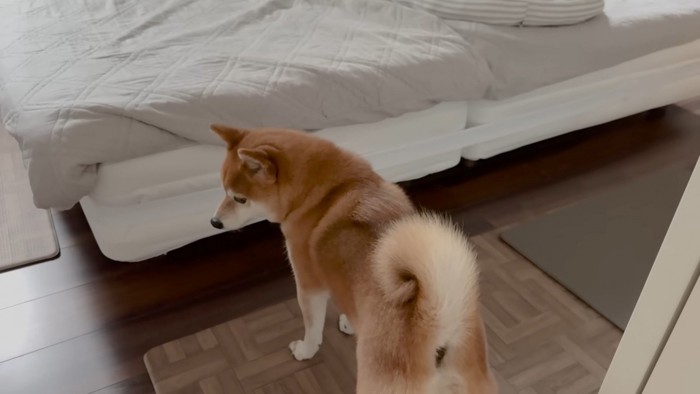 切ない姿に愛を感じます
