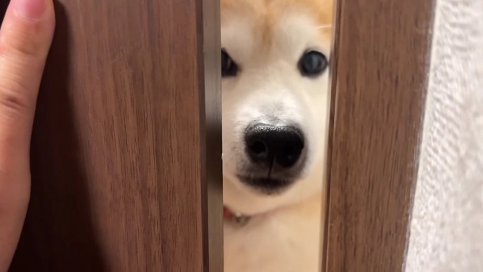 「どこ行ってたの…？」