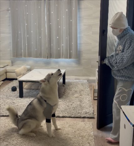 指示があるまで