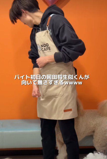 静かになったと思ったら…