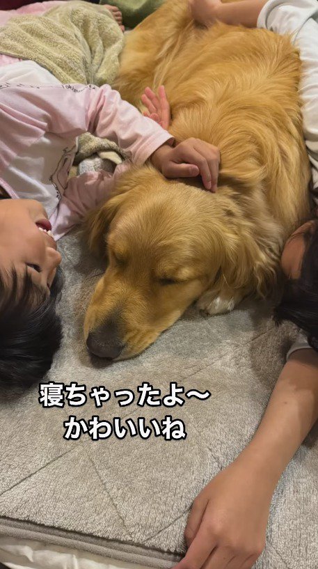 女の子に挟まれながら眠る犬