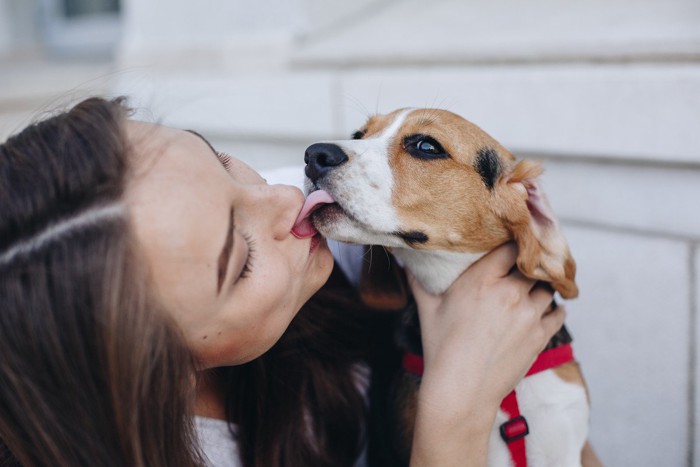 女性の鼻を舐める犬