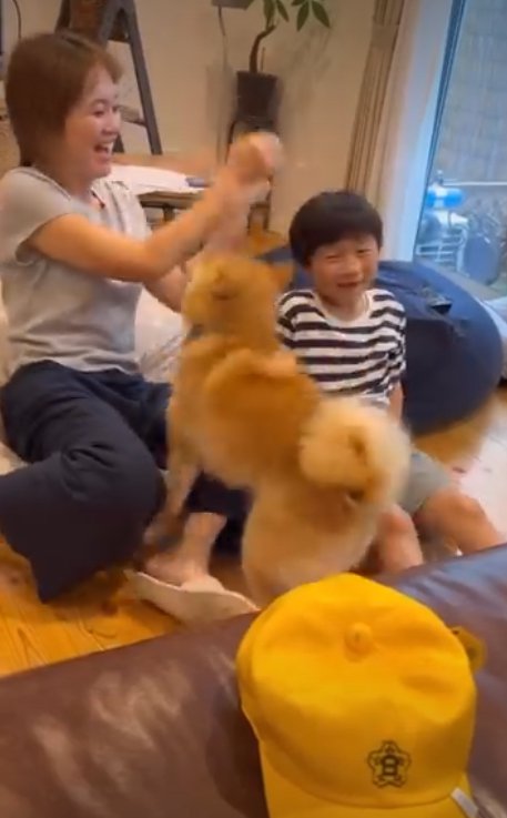 お母さんを見る犬1