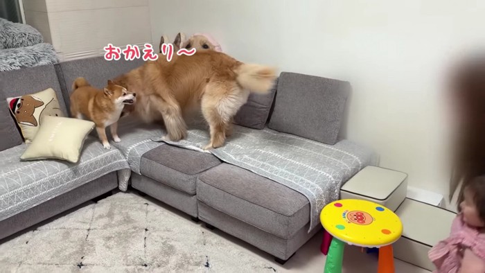 うにくんにごあいさつ