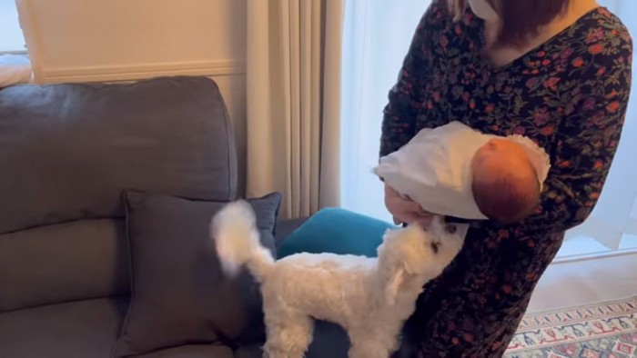 赤ちゃんに近づくエルくん