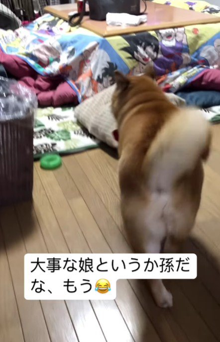 いそいそとサークルへ