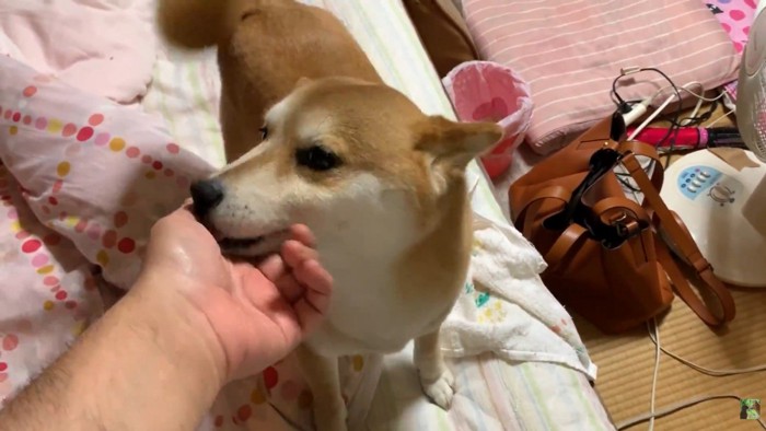 ペロペロ…