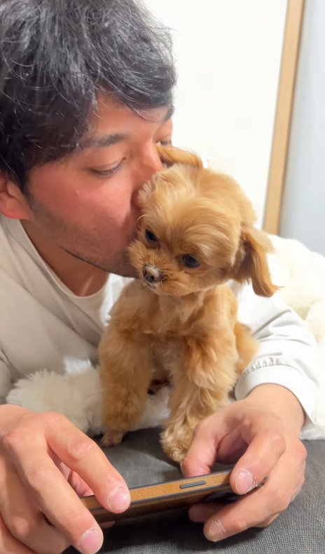 小型犬にキスする投稿主