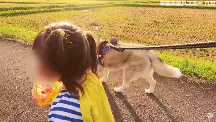 歩調を合わせる優しいベガちゃん