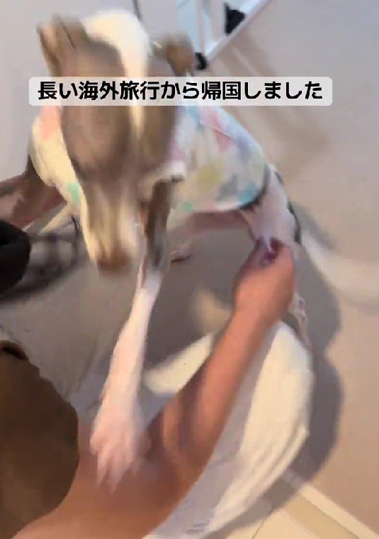 一目散に駆け寄ってきた！