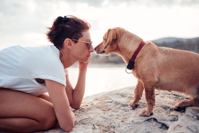 犬と見つめ合う女性