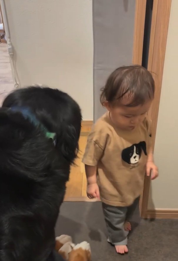 歩く赤ちゃん