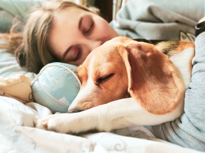 寝ている犬と女性