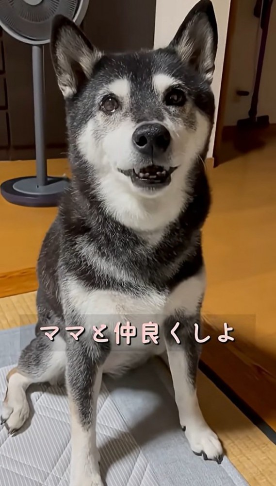 再度問いかけるママ