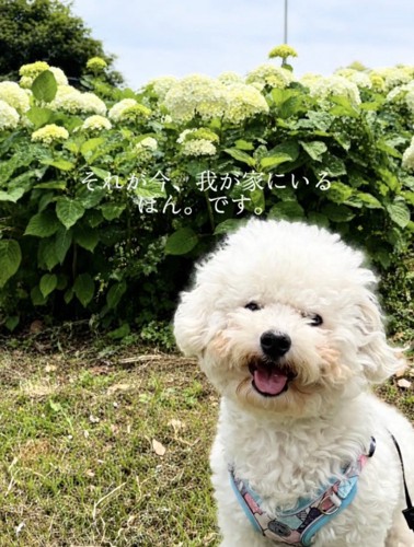無事にお迎え。