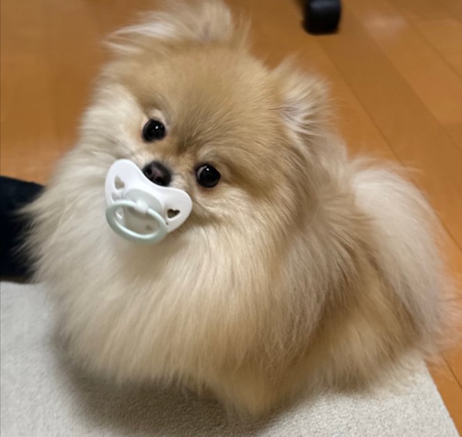 あざと