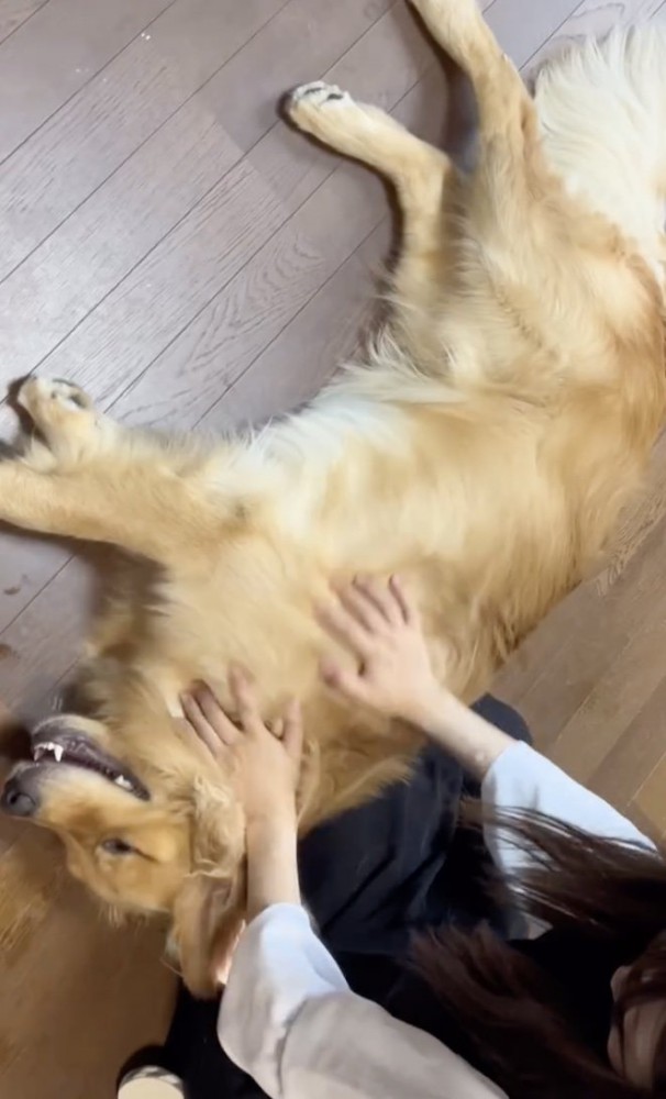 ゴロン