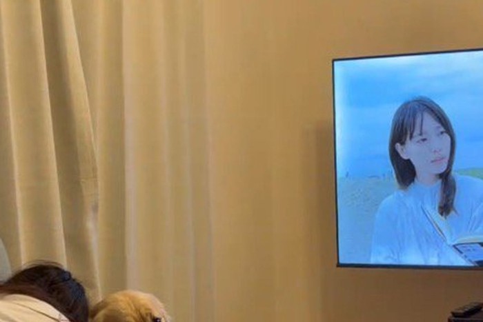 犬と一緒にドラマを見ている女性
