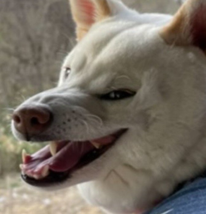 「お前にサンが救えるか！！」