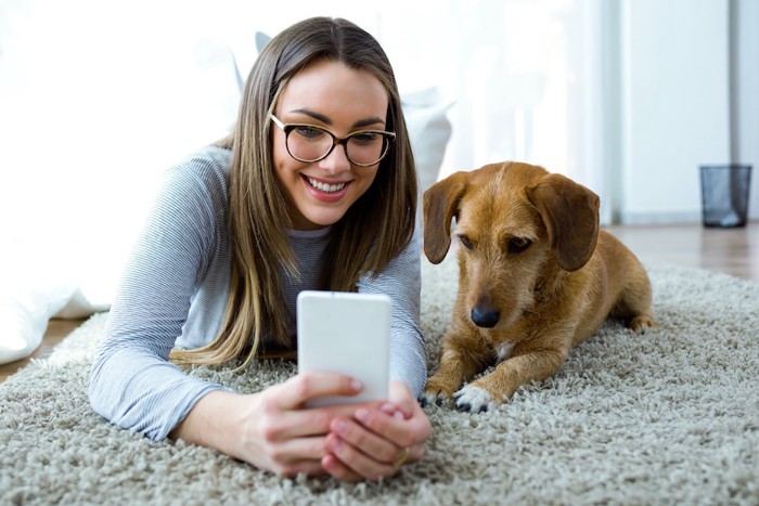 飼い主と一緒にスマホを見つめる犬