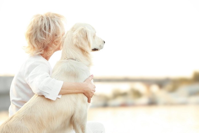 おばあさんと犬の背中