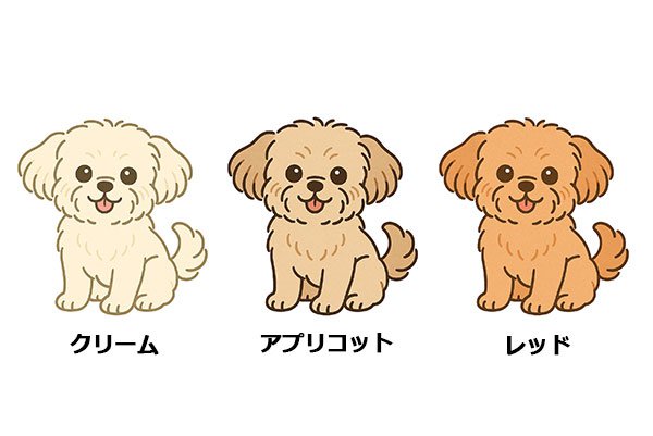 ペキプーの毛色