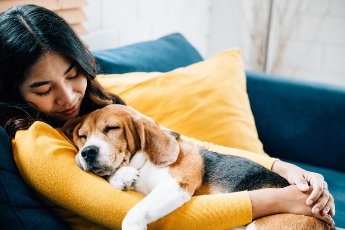 飼い主に寄りかかって眠る犬