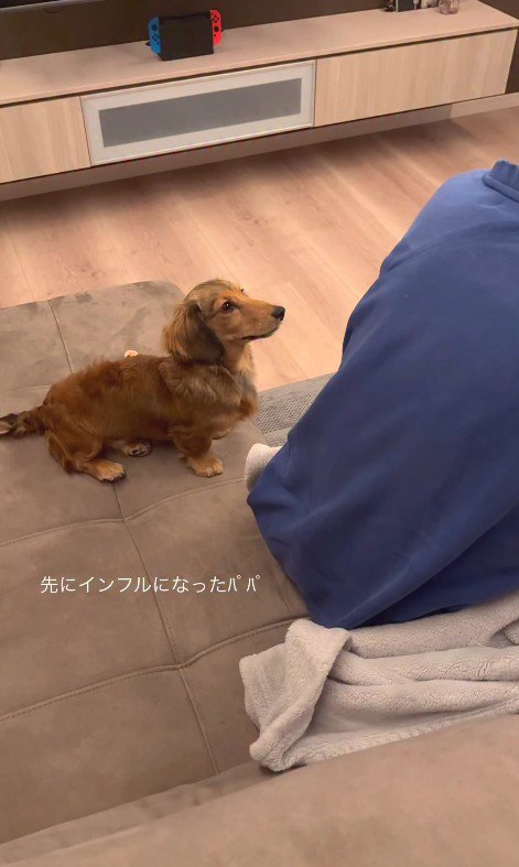 パパとママに寄り添うビッシュちゃん