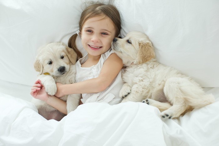 少女と子犬